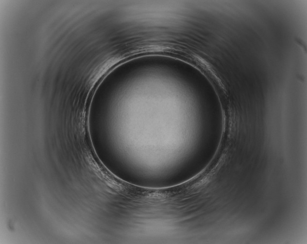 X0000100951178200806241456