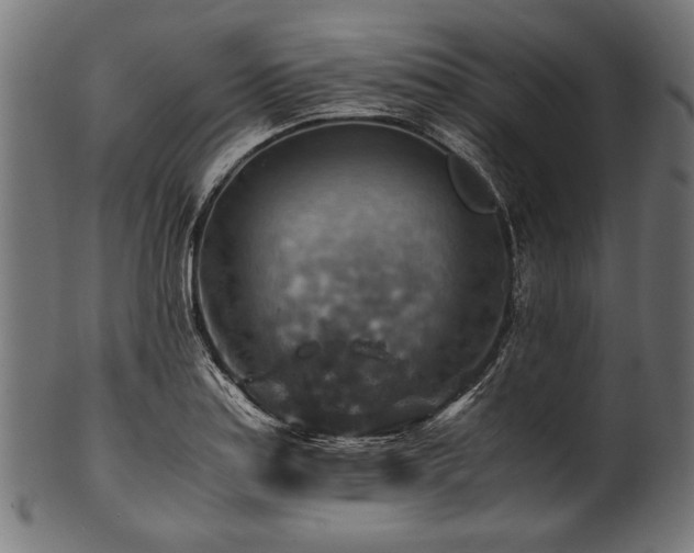 X0000100951179200806241456