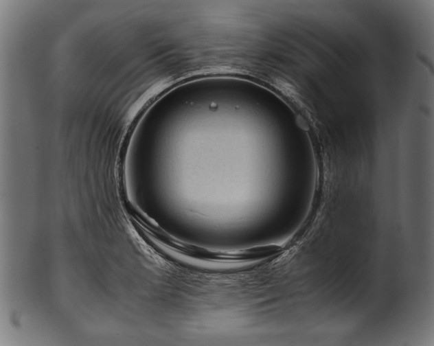 X0000100951181200806241456