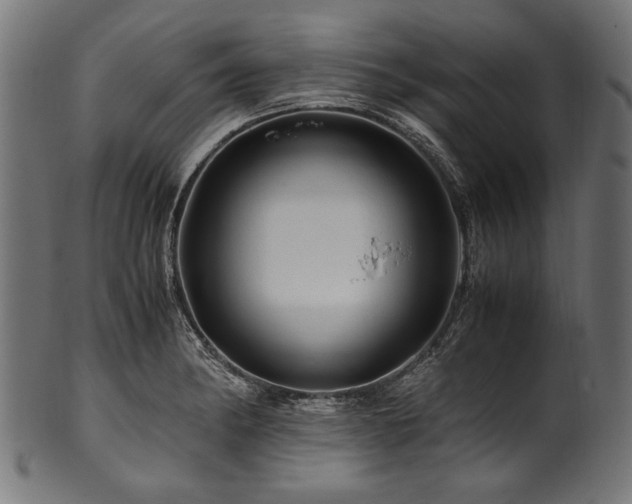 X0000100951182200806241456