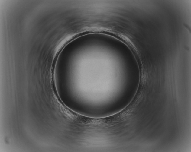 X0000100951183200806241456