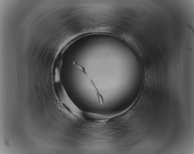 X0000100951184200806241456