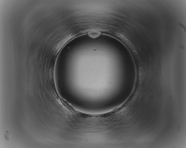 X0000100951185200806241456
