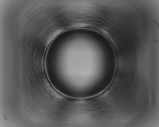 X0000100951186200806241456
