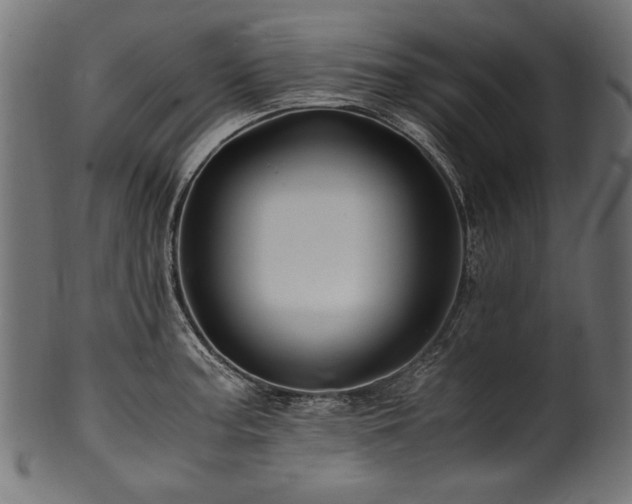 X0000100951187200806241456