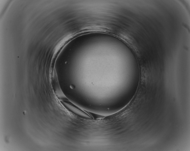 X0000100951188200806241456