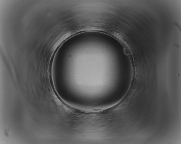 X0000100951189200806241456