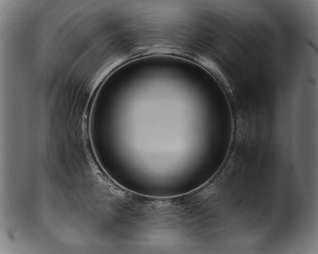 X0000100951190200806241456
