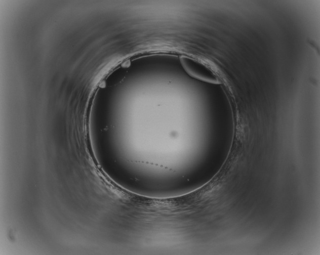 X0000100951191200806241456