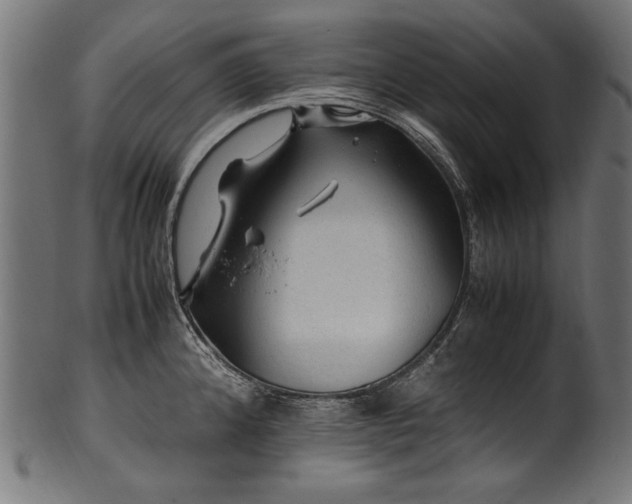 X0000100951192200806241456