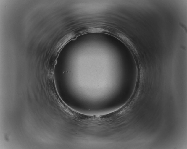 X0000100951193200806241456