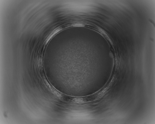 X0000100951194200806241456