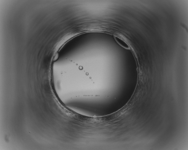 X0000100951195200806241456
