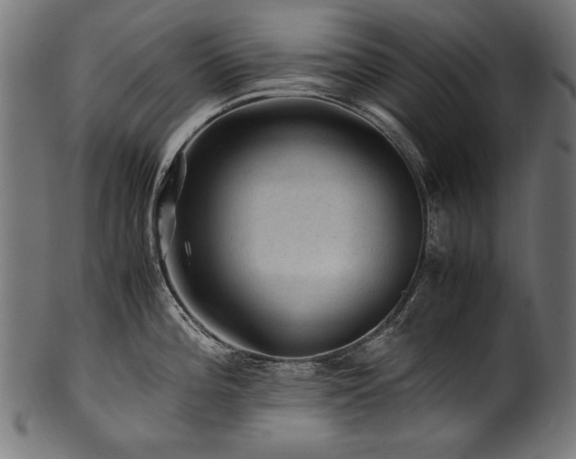 X0000100951196200806241456