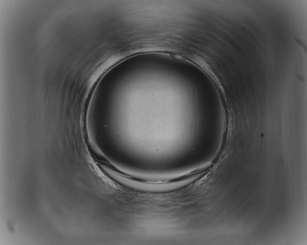 X0000100951197200806241456