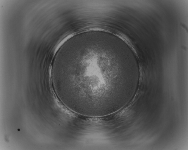 X0000100951198200806241456
