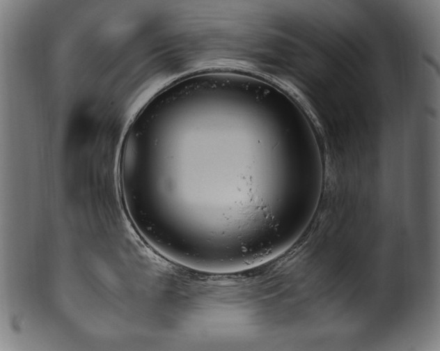 X0000100951199200806241456