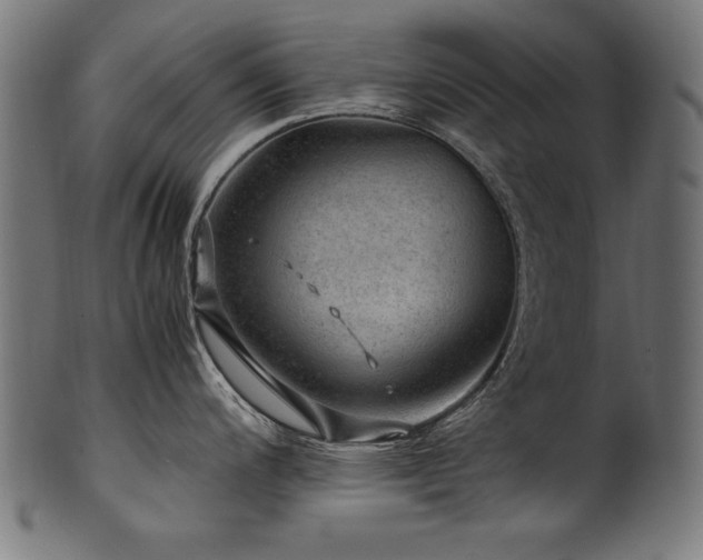 X0000100951200200806241456