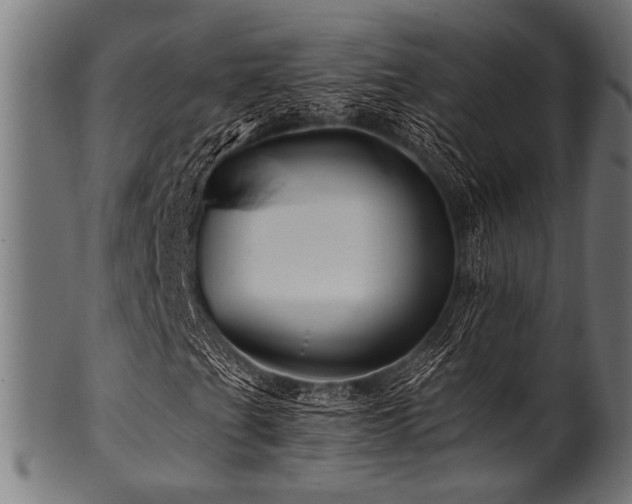 X0000100951201200806241455