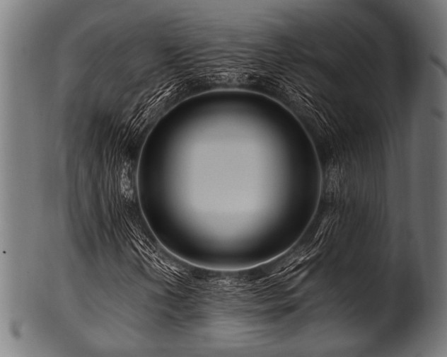 X0000100951202200806241455