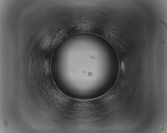 X0000100951203200806241455