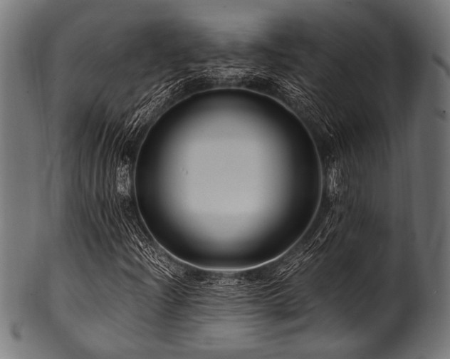 X0000100951204200806241455