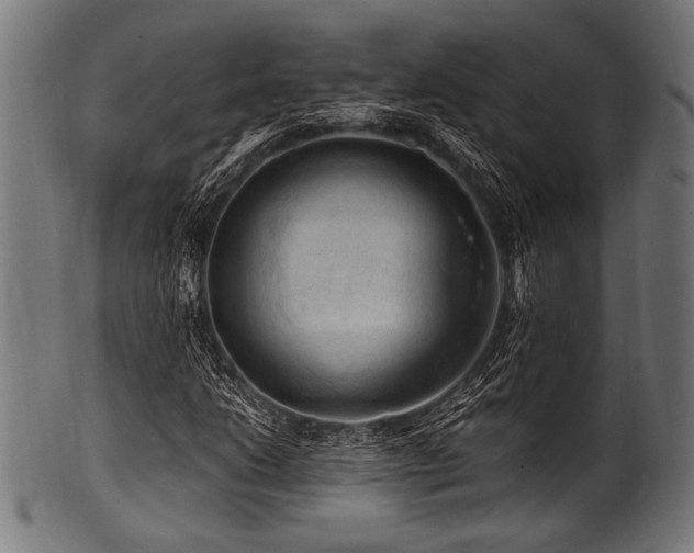 X0000100951206200806241455