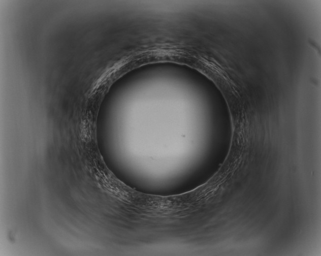 X0000100951207200806241455