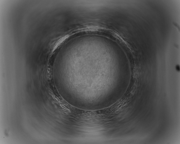 X0000100951208200806241455