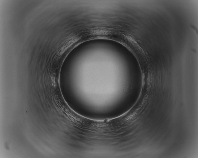 X0000100951209200806241455