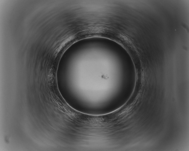 X0000100951210200806241455