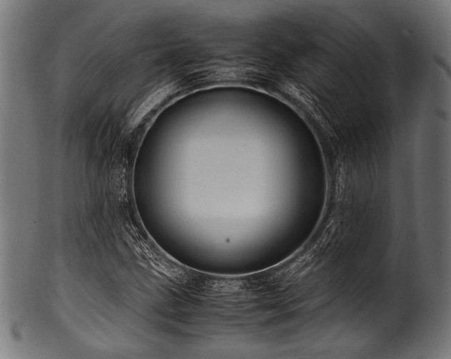 X0000100951211200806241455