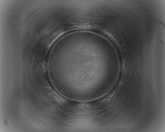 X0000100951212200806241455