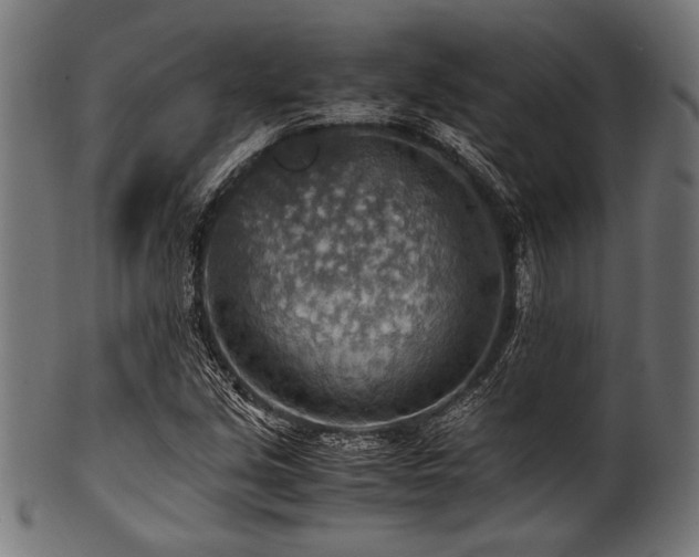X0000100951213200806241455