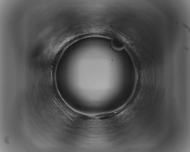 X0000100951214200806241455