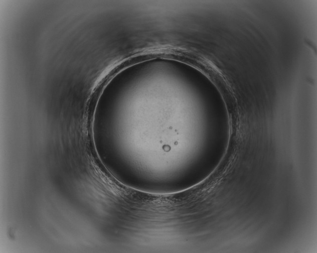 X0000100951216200806241455