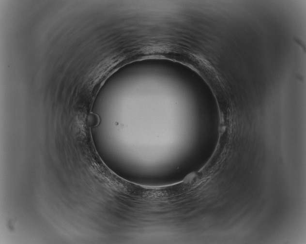 X0000100951217200806241455