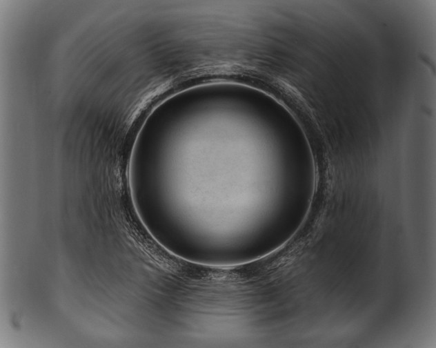 X0000100951218200806241455