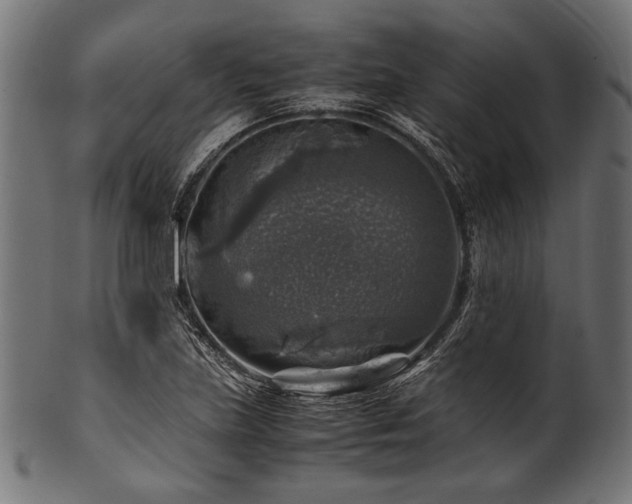 X0000100951219200806241455