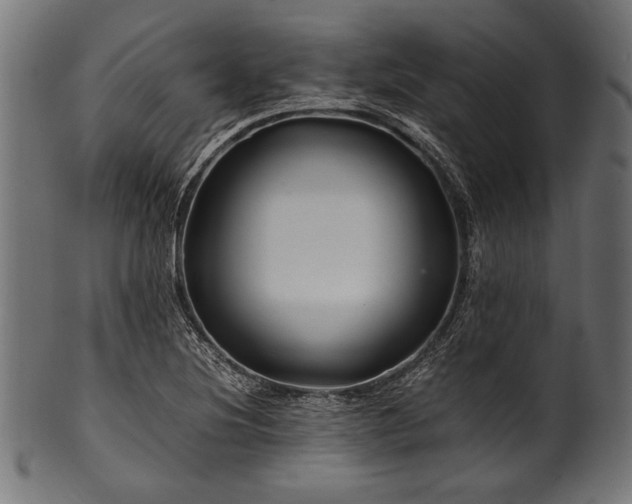 X0000100951220200806241455