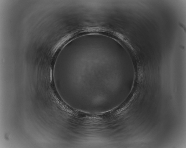 X0000100951221200806241455