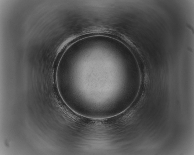 X0000100951222200806241455