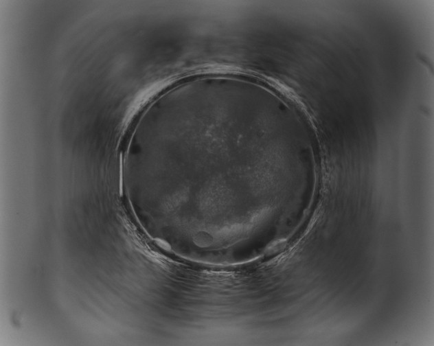 X0000100951223200806241455