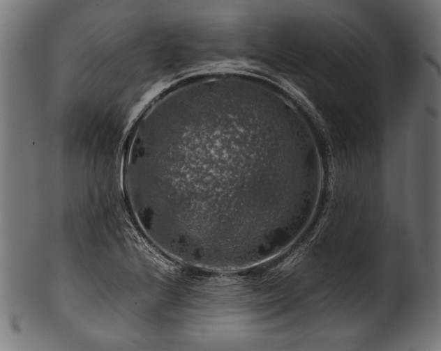 X0000100951224200806241455