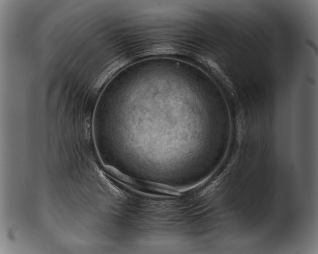 X0000100951225200806241455