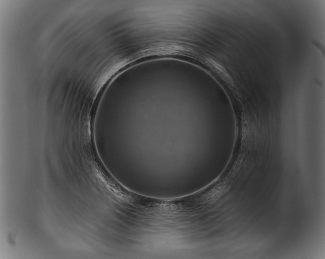 X0000100951226200806241456