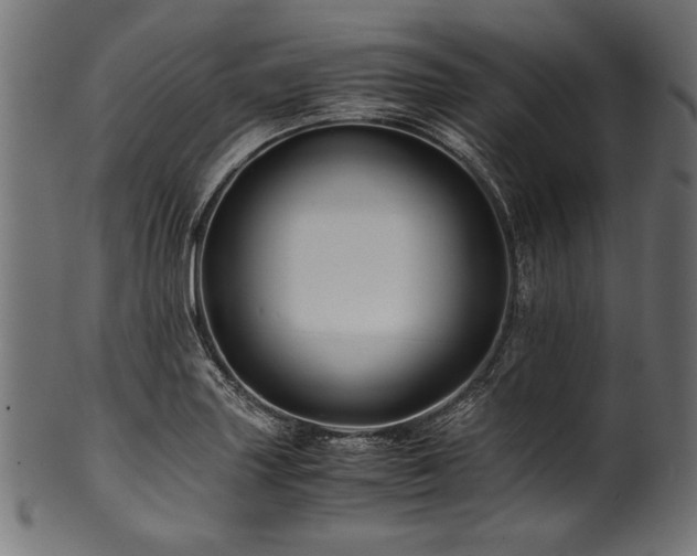 X0000100951227200806241456