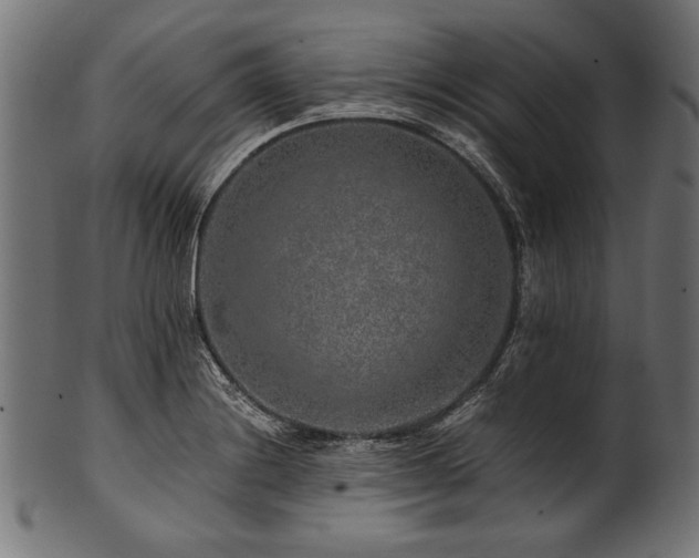 X0000100951228200806241456