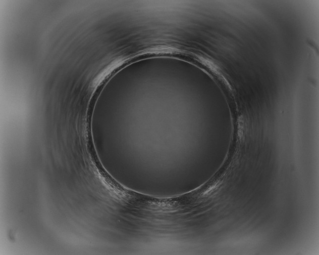 X0000100951229200806241456