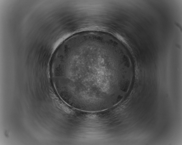 X0000100951230200806241456